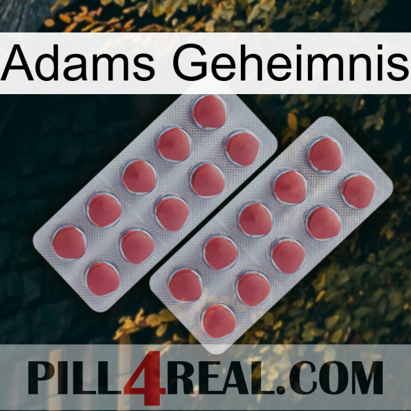 Adams Secret 19.jpg